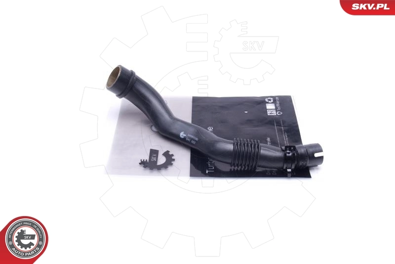 Hose, crankcase ventilation